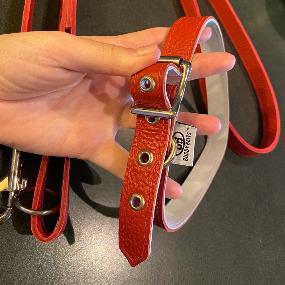 Leash + collar